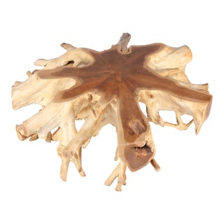 Round 36" Inch Organic Teak Root Coffee Table 28 For Sale