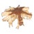 Round 36" Inch Organic Teak Root Coffee Table 28 For Sale