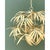 Metal Vintage Currey and Company “Calliope” Palm Frond Chandelier For Sale - Image 7 of 12