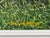 Young Boy Fishing by a Beautiful Riverside in Lush Green English Countryside 1995 For Sale - Image 6 of 18