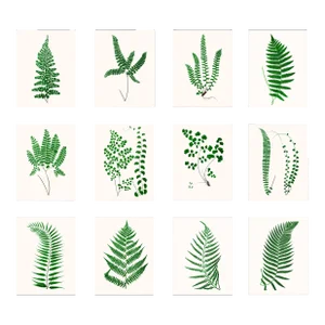 British Fern Contemporary Reproduction Print Collection, Set of 12 – 11" X 14"