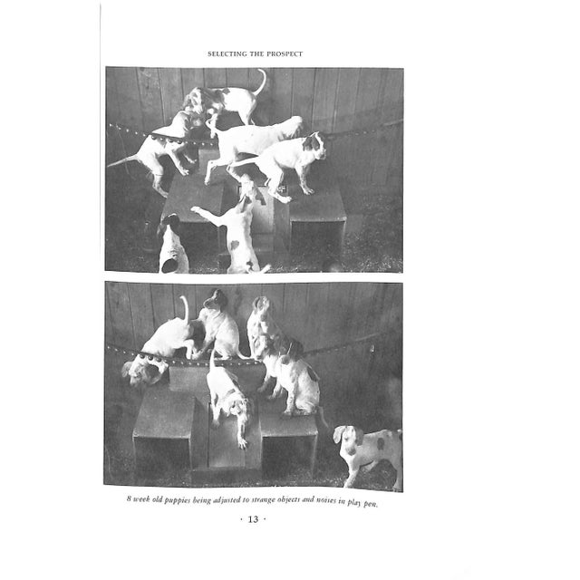 "Wing & Shot- Gun Dog Training" 1979 Wehle, Robert G. For Sale - Image 12 of 12