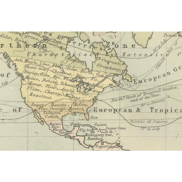 Botanical Map by A.K. Johnston, 1852 For Sale - Image 3 of 10