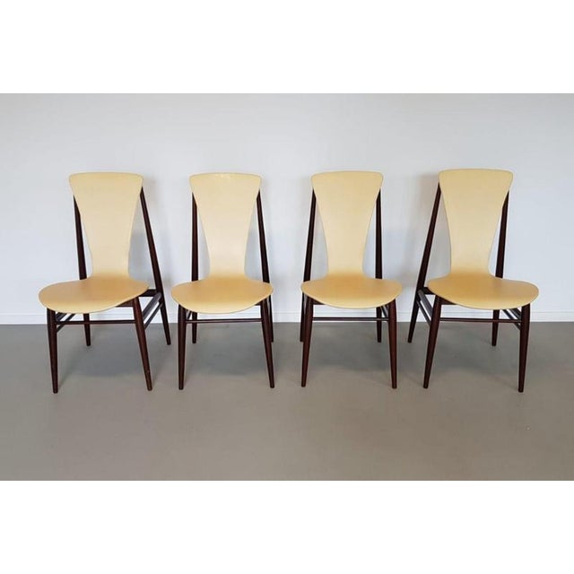 Dining Chairs with Floating Seats, 1950s, Set of 4 For Sale - Image 10 of 10