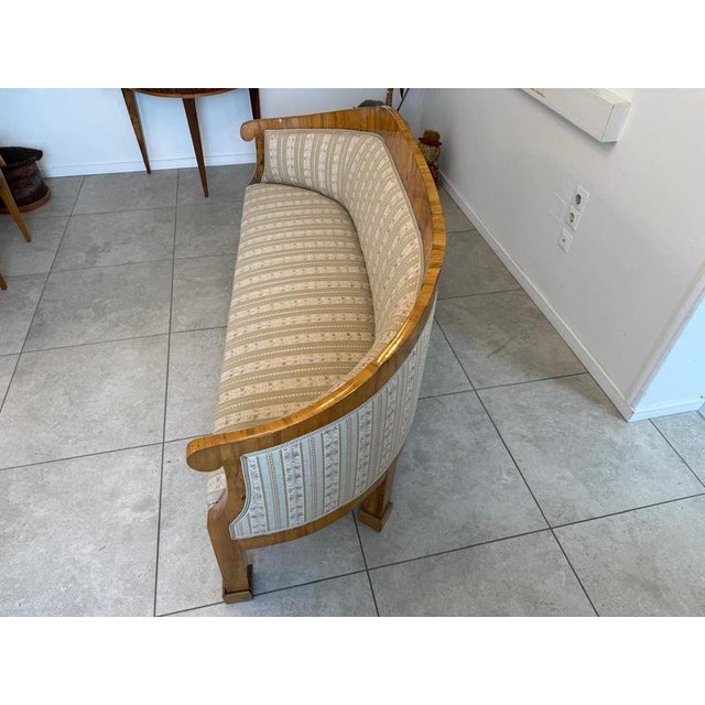 Biedermeier Sofa in Pine Veneer For Sale - Image 11 of 18