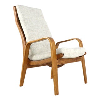 Plywood Men's Model FB05 Armchair from Pastoe For Sale