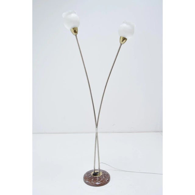 1960s Mid-Century Floor Lamp by Kamenicky Senov, 1960s For Sale - Image 5 of 10