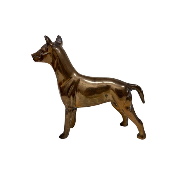 Mid-century solid brass dog.