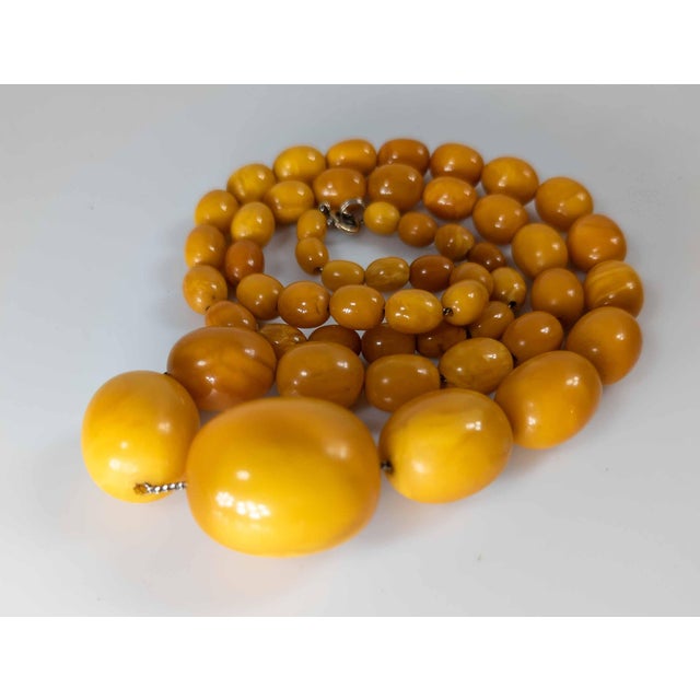 Early 20th Century 20th Century Butterscotch Egg Yolk Baltic Amber Bead Necklace For Sale - Image 5 of 12