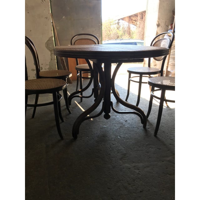 Brown Oval Dining Chairs & Table in Wood Cane, Germany, 1960s, Set of 7 For Sale - Image 8 of 13