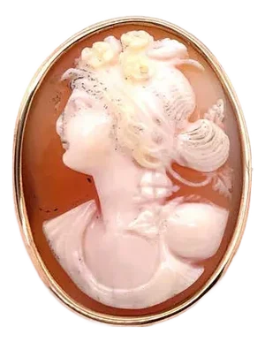 14 Karat Yellow Gold Cameo of Woman's Profile Pendant and Brooch