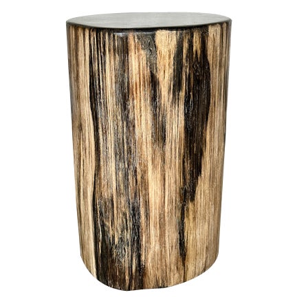 Petrified Wood Side Table with Black Heart For Sale