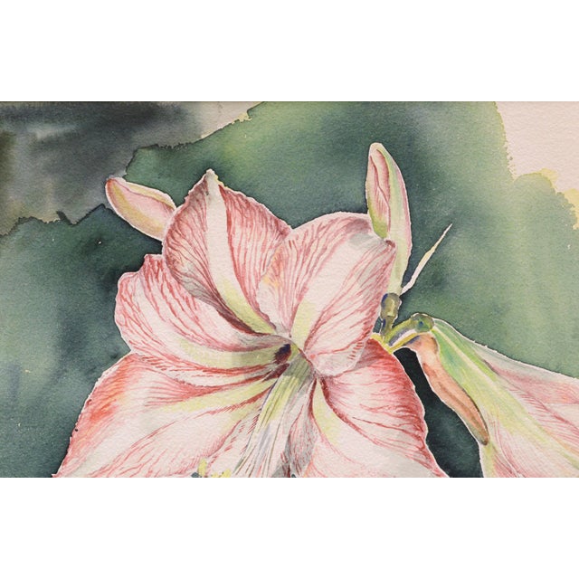 Realism Joseph Yeager Amaryllis Blossom Watercolor Circa 1940-1950 For Sale - Image 3 of 5