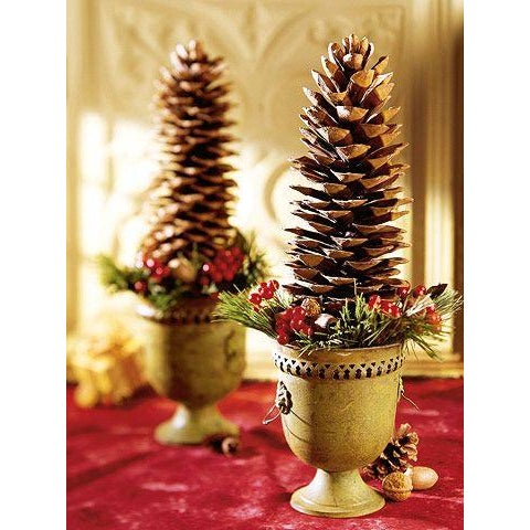 Coffee Natural 15" Jumbo Pine Cones For Sale - Image 8 of 8