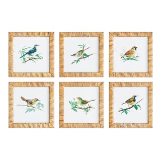 Songbird Petite Prints, Set Of 6 For Sale