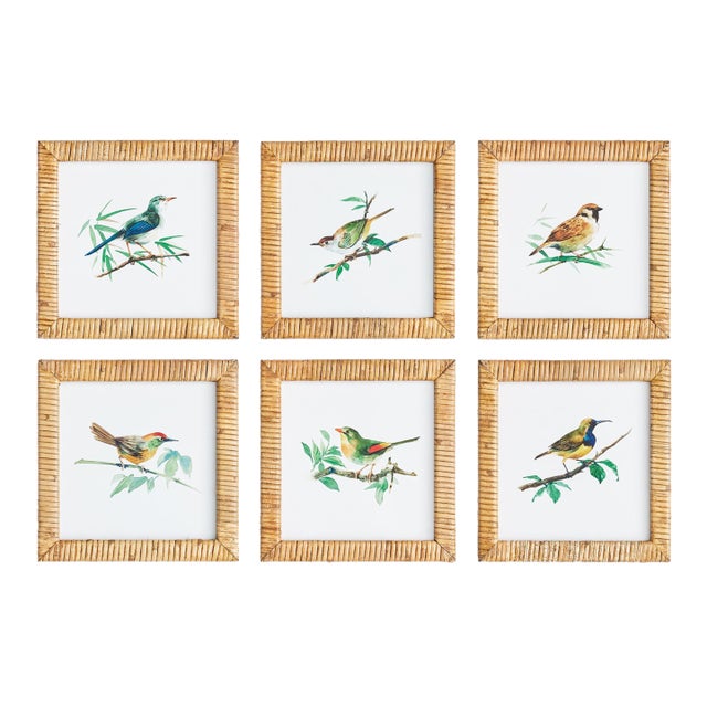 Songbird Petite Prints, Set Of 6 For Sale
