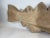 Six Foot Carved Wood Codfish For Sale - Image 10 of 12