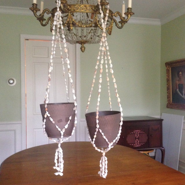 Vintage Natural Seashell Plant Hangers A Pair Chairish