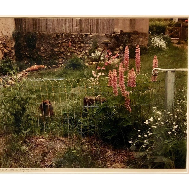 Size is without frame. French Burgundy wine country farmhouse yard scene with flowers. Frank Gohlke (born April 3, 1942)...