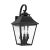 Galena is a Europe-inspired classic lantern. Simple and refined, Galena features a gently curved hook detail atop a...