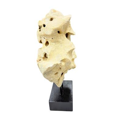 Indonesian Coral Stone On Teak Stand For Sale - Image 4 of 5