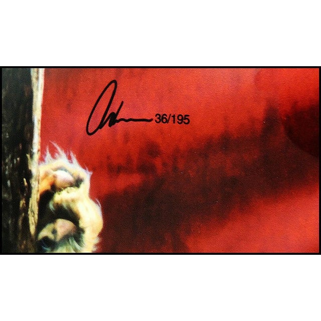 Modern The Wild Ones - Lion, Adam Scott Rote For Sale - Image 3 of 5