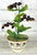 Modern Didier Gardillou – Porcelain Blackcurrant Bush in an 18th-Century Holder by the Manufacture À La Reine For Sale - Image 3 of 7