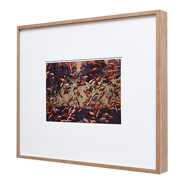 Mouth of Krishna 128 Print by Albarran & Cabrera, 2013 For Sale