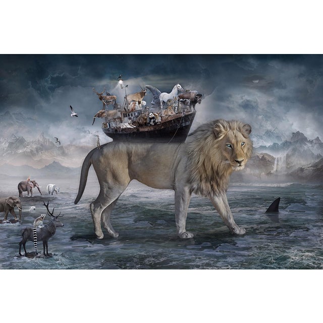 Noah - the Lions Heart by Marcin Owczarek | Photography - Dye Sublimation on Aluminum Lion with animals on a boat. For Sale