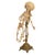 Antique 19thC Anatomical Conjoined Syncephalus Twins Skeleton Medical Model 1860 For Sale - Image 11 of 17