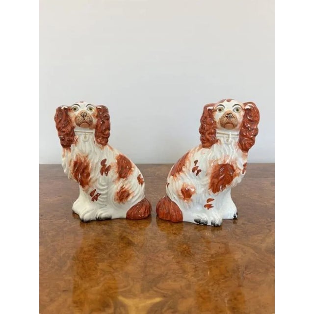 Quality pair of antique Victorian seated spaniels. Having lovely red and white coloured coats with matching collars and...