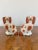 Quality pair of antique Victorian seated spaniels. Having lovely red and white coloured coats with matching collars and...