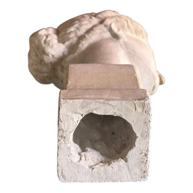 Greco-Roman Artist, Female Bust, 1960, Plaster For Sale - Image 6 of 7