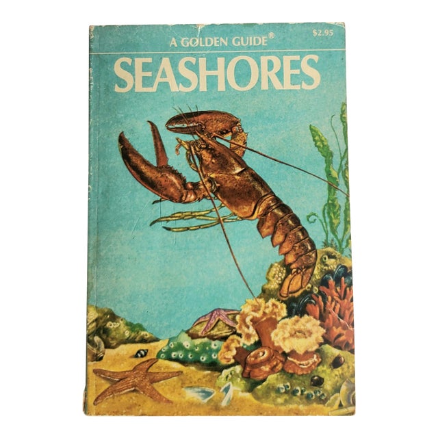 1955 Vintage Beach Marine Guide Seashores Paperback Book For Sale