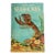 1955 Vintage Beach Marine Guide Seashores Paperback Book For Sale