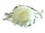 White 19th Century Moore Brothers English Porcelain Cactus Flower Double Cherub Centerpiece For Sale - Image 8 of 11