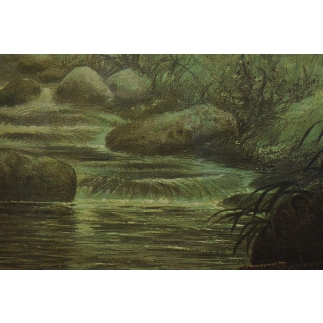 Traditional Authorized Orvis Dealer Leaping Trout Colour- Plate by s.a Kilbourne 1878, Framed For Sale - Image 3 of 7