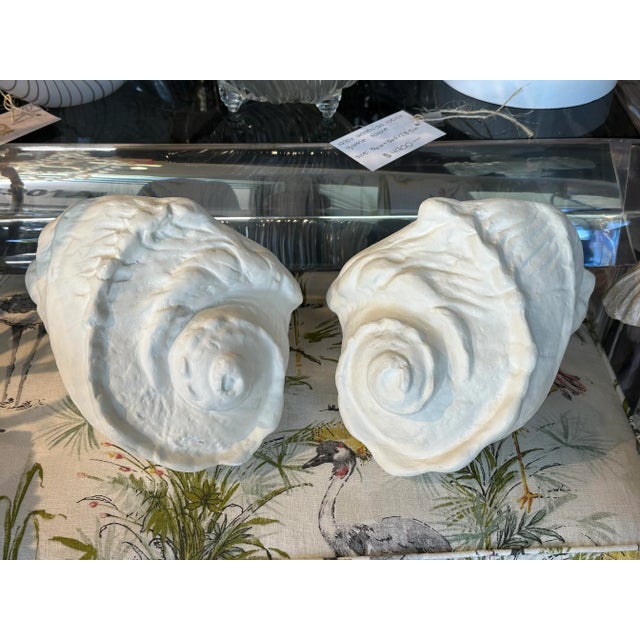 1950s Pair Plaster Palm Beach Shell Seashell Wall Light Sconces Serge Roche Manner For Sale - Image 5 of 12