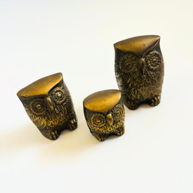 A set of 3 vintage brass owls in varying sizes. Beautiful detailing formed into the brass. Made in Korea. Measurements:...