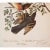 John James Audubon 1966 Cottage Print "Mountain Mockingbird, Sage Thrasher & Varied Thrush" After John James Audubon For Sale - Image 4 of 7