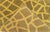 Early 21st Century Abstract Modern “Skin” Rug – A Primal Pattern Reimagined, by Doris Leslie Blau For Sale - Image 5 of 8