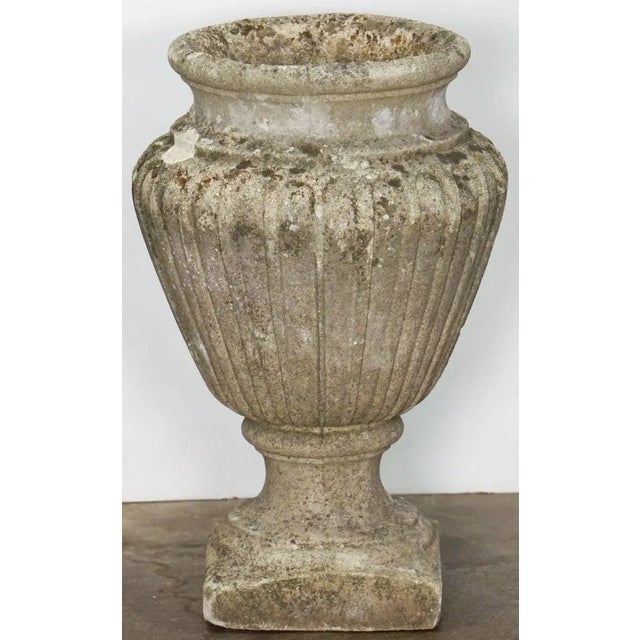 Early 20th Century English Garden Stone Urn Vase or Planter Pot in the Classical Style For Sale - Image 5 of 13