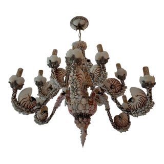 Custom Shell Chandelier For Sale