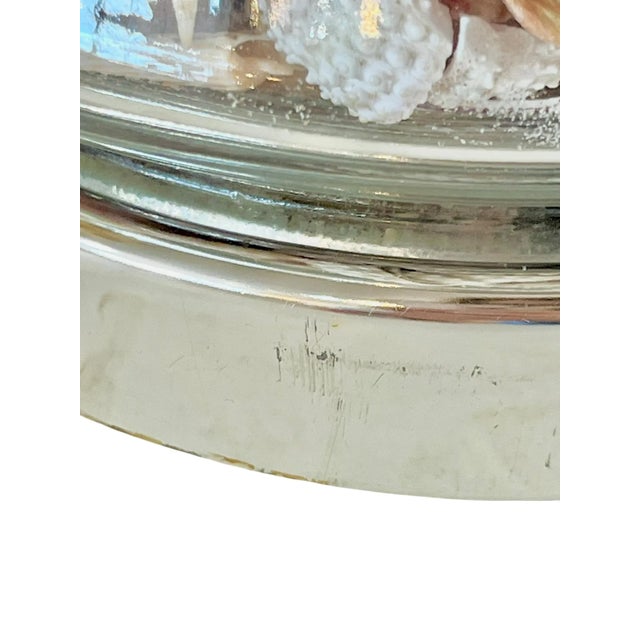 Vintage Glass Ginger Jar Shell Filled Lamp For Sale - Image 12 of 18