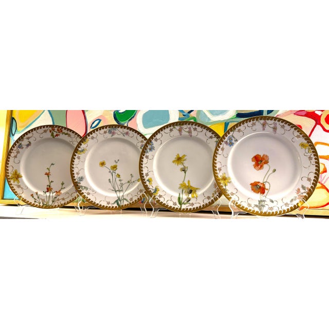 Antique German Fischer & Mieg Pirkenhammer Dinner Plates - Set of 4 For Sale - Image 14 of 15