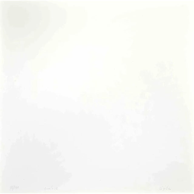 Green Cosmos - Violet is a lithograph realized by Eleni Zerva in 1971. Hand-signed and numbered on the back. Edition of...