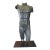 1950s Bronze Torso Sculpture. For Sale