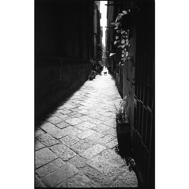 Paul Cooklin, Contrast, Naples, Italy, Edition of 50 For Sale - Image 7 of 7