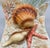 Vintage Otagiri Japan Ceramic Seashell & Starfish Bookends — Coastal / Nautical For Sale In Houston - Image 6 of 11