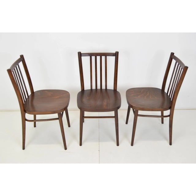 1960s Mid-Century Chairs from TON, 1960s, Set of 3 For Sale - Image 5 of 14